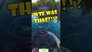 Ep 02  Spring TOPWATER Fishing Action  Roosevelt Lake AZ shorts fishing kayakfishing [upl. by Cence591]