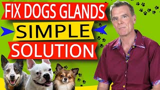 How To Fix Dogs Glands Simple Food Remedy Works  Try First [upl. by Abdul]