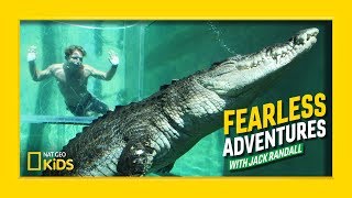 Swimming with a Giant Saltwater Crocodile  Fearless Adventures with Jack Randall [upl. by Norrv]