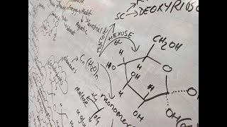 Biological molecules revision mindmap OCR A biology [upl. by Einner]