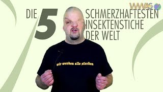 Die 5 schmerzhaftesten Insektenstiche der Welt Wir Werden Alle Sterben  Folge 38 [upl. by Hillery]