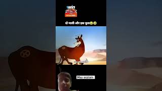 Watch full video 😂😂 trendingshorts funnyshorts shorts shortsfeed newvideo funnyvideos funny [upl. by Vinita186]