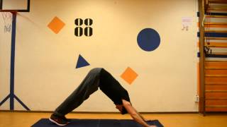 Lower back pain level 3 stretching exercise sun salutation Surya Namaskara [upl. by Nairot]