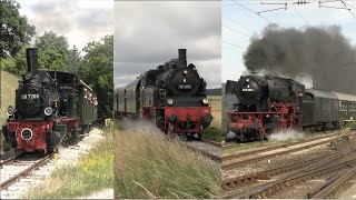 501 Jahre Ulmer Eisenbahnfreunde mit 75 1118 23 058 amp 99 7203 [upl. by Dayle]