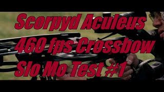 Scorpyd Crossbows Aculeus 460 fps High Speed Video Test 1 [upl. by Anavahs72]