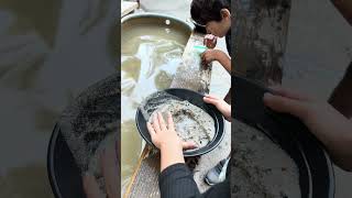 Nate and Nessa go Gold Panning and Visit a Real Gold Mine shorts kidsvideo [upl. by Bloomer]