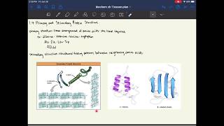 MCAT Biochemistry Chapter 1 Amino Acids Peptides and Proteins [upl. by Leifeste899]