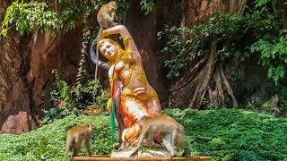 Thailand Monkeys Steal Tiger Cave Temple [upl. by Odella]