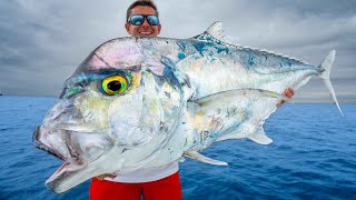 Most PRIZED Deep Sea Fish Catch Clean Cook African Pompano [upl. by Bourke214]