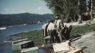 Parachuting beavers Video courtesy of Idaho Department of Fish and Game [upl. by Ribal480]