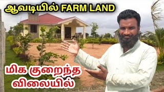 வருமானம் தரும் FARM LAND  Farm Land for Sale in Chennai at Avadi [upl. by Yhtommit]