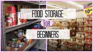 Food Storage  Stockpile Pantry For Beginners [upl. by Fenelia]