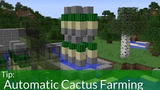 Automatic Cactus Farming in Minecraft [upl. by Gaige]