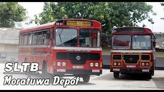 SLTB  CTB  Sri Lanka Transport Board SLTB Moratuwa Depot  මොරටුව ඩිපෝව  labedi langama [upl. by Aleras]