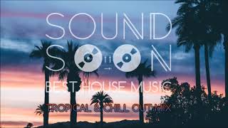 MUSICA DA APERITIVO RELAX 2020 TROPICAL HOUSE 🌴 Dua Lipa Martin Garrix Kygo Sia Style 🌴 Chill Out [upl. by Sibeal]