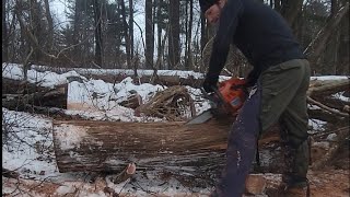 Slabbing Reclaimed Red Oak Freehand diy chainsaw husqvarna nature [upl. by Maroney]