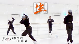 PRACTICE Stray Kids  Back Door  Dance Tutorial  SLOWED  MIRRORED [upl. by Ahterod276]