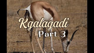 Kgalagadi Part 3 [upl. by Xyno]