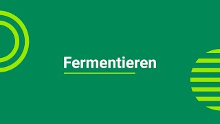 Lebensmittelverarbeitung Fermentieren [upl. by Aneelahs]