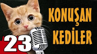 Konuşan Kediler 23  En Komik Kedi Videoları [upl. by Esinnej7]