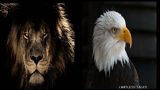 Lessons From Lion And Eagle Attitude Changes Everything Dr Myles Munroe [upl. by Nelleh581]