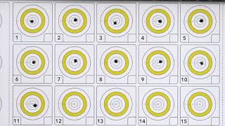 Air Arms HFT 500 25 yard benchrest practice [upl. by Luhe693]