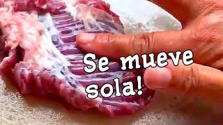 ¿Por qué la carne CRUDA se MUEVE SOLA [upl. by Mosi]