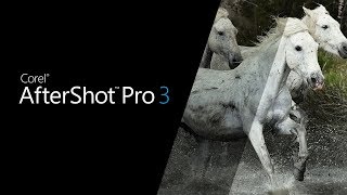 Introducing Aftershot Pro 3  the worlds fastest RAW photo editor [upl. by Nnayllek356]