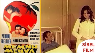 Memnu Meyva Türk Filmi  Hadi Çaman  Zerrin Egeliler  Sibel Film [upl. by Terryl704]