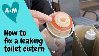 How to change toilet cistern seat washer Caroma dual flush [upl. by Elery]