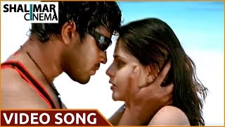 Seema Sastri Movie  Manasa Vaacha Video Song  Allari Naresh Farzana [upl. by Figone237]