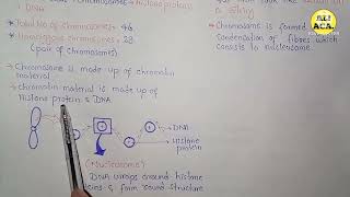 Chromosomes And Genes  Class 10 Biology [upl. by Heger497]