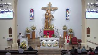 800 AM Mass Wednesday of the Twentyseventh Week in Ordinary Time [upl. by Arriaet]