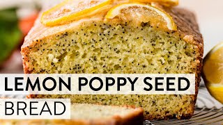 Lemon Poppy Seed Bread  Sallys Baking Recipes [upl. by Sheng]