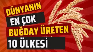 DÜNYANIN EN ÇOK BUĞDAY ÜRETEN 10 ÜLKESİ [upl. by Melan]