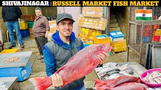 Shivajinagar Fish Market Bangalores Aquatic Wonderland [upl. by Hulton797]