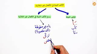 مراجعات عين  الالف اللينة في الأفعال غير الثلاثية [upl. by Erehc]