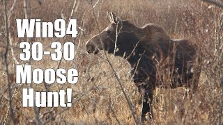 Moose Hunt The 3030 win94 fills the freezer [upl. by Gonagle]