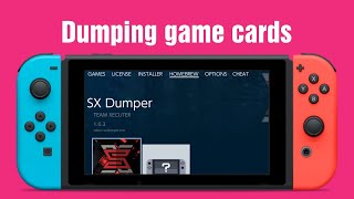 SX Dumper on the Nintendo Switch [upl. by Palma]