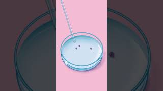 How Does IVF Work [upl. by Karine]