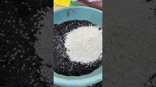 Fertilizer for plants shorts shortsfeed usateluguvlogs backyardgardening food [upl. by Wolenik]