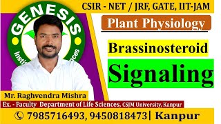 Brassinosteroid Signaling  Plant Physiology  CSIR NETJRF  Life science  GATE DBT [upl. by Antony]