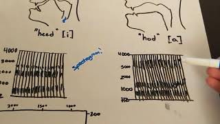 Formant Frequencies MiniLesson [upl. by Ennaed]