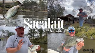 DockSide TV Sacalait on the Spawn [upl. by Friedlander]