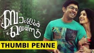 Thumpi penne  malayalam karaoke  bangalore days [upl. by Artep]