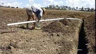 Australia Sugar cane Irrigating [upl. by Llerral]