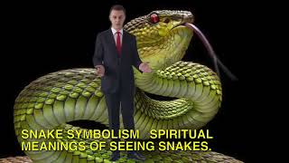 Snake Symbolism Spiritual Meanings Of Seeing Snakes [upl. by Eppesuig]