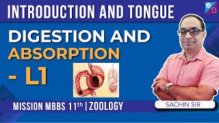 Introduction to Digestion and Absorption Class 11 Biology Chapter 16 Explained  NEET 2024 Exam [upl. by Edric299]