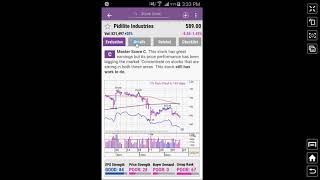 MarketSmith India  Details Tab [upl. by Etteniuqna]