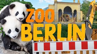 Zoo Berlin  Zoo Eindruck [upl. by Nellir147]